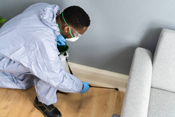 Best Real Estate Pest Inspections  in Pinconning, MI